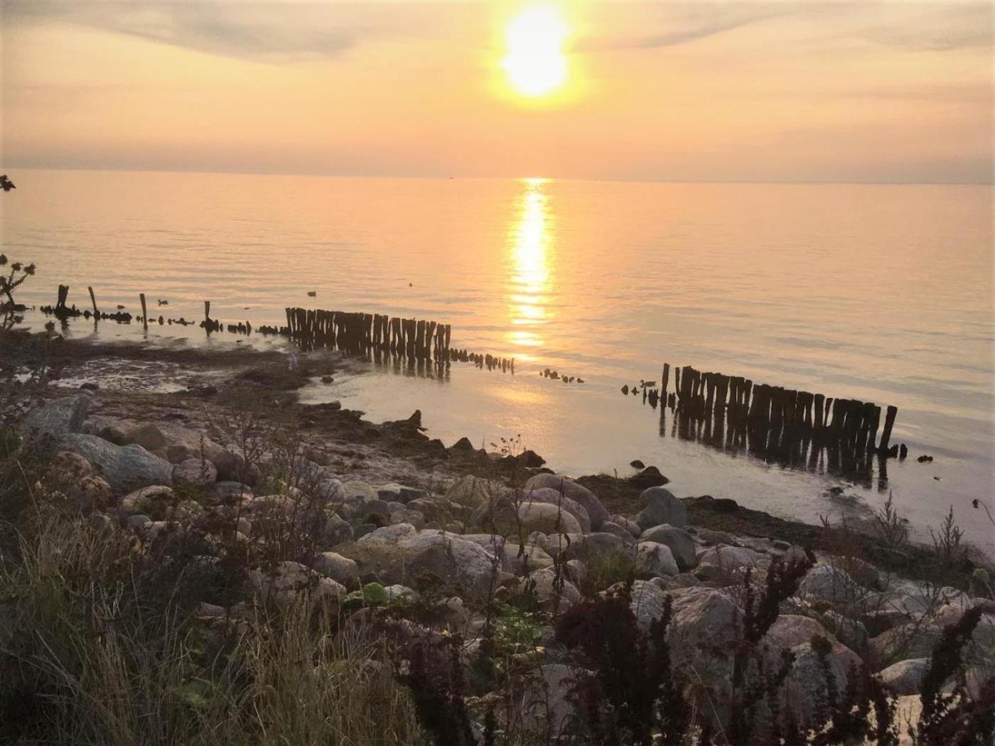Dahmer Strand 18 Muschelhus Exteriör bild